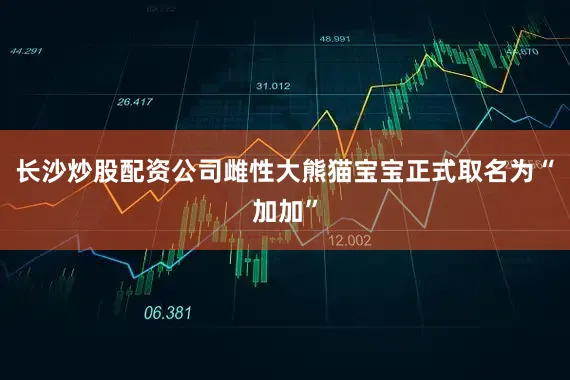 长沙炒股配资公司雌性大熊猫宝宝正式取名为“加加”