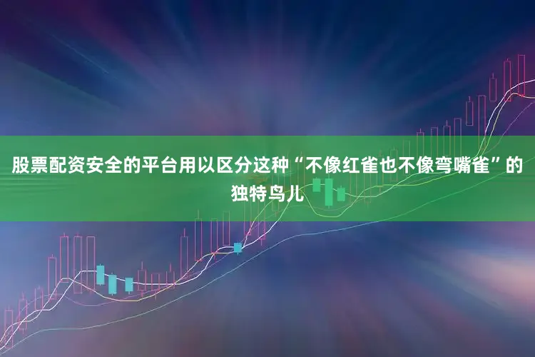股票配资安全的平台用以区分这种“不像红雀也不像弯嘴雀”的独特鸟儿